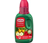 Substral Engrais ferreux - 250 ml - Vert