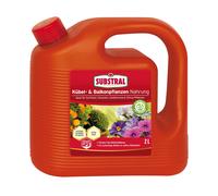 Substral Engrais Plantes en Pot & Balcon 2 L Aliment Palmier Citrus