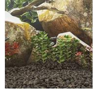 Substrat - vidaXL - Volcanic - 5-8 cm - Noir - Naturel et sûr pour aquarium