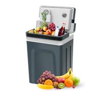 SubSun Glacière électrique et réchauffeur avec poignée, 25 L, réfrigérateur thermoélectrique portable de voiture avec 12 V CC et 110 AC pour camping, voyage et pique-nique, gris