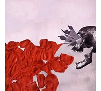 Long Vein Of The Law