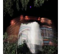 Subtle Movements[2 LP]