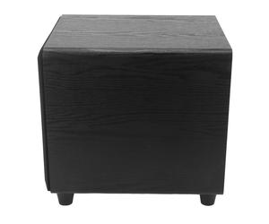 Subwoofer actif de 10 pouces, 300W, enceinte amplifiée pour usage intérieur et extérieur