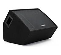 SubZero C10M 10" 350 W Retour de scène passif