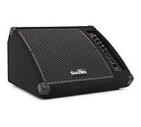 SubZero Retour de Scène Actif 10" 200 W