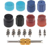 Subzonal-Be In Your Mind 16pcs Joints De Noyaux Valve Capuchon Climatisation Universel Outil De Retrait Capuchon Système A/C Noyau Valve Pour Plupart Modèles Voiture