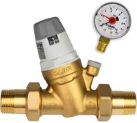 Subzonal-Caleffi Réducteur De Pression D'eau 1/2" Dn15 Réducteur De Pression D'eau Avec Cartouche Remplaçable Et Manomètre Valve De Réduction De Pression Régulateur De Pression 535041 Multicolore