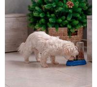 Subzonal-Distributeur Croquettes Chiens Et Chats Azimut 600, Distributeur De Nourriture Sèche Ou Eau 0,6 Litre, Fond Antidérapant, 12,5 X 19 X H 19,5 Cm Blanc