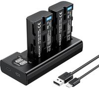SUBZONAL-ENEGON NP-F550 Chargeur de Batterie Kit 2X 2900mAh Batterie de Remplacement LCD Type-C Câble USB Chargeur pour Sony NP F970/F960/F770/F750/F570/F550/F530/F330/CCD-SC55/TR917/TR910/TR818/TR71