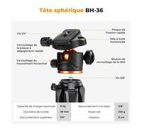 SUBZONAL-K&F CONCEPT Trépied Appareil Photo 190cm, S255A3+BH-36 Trépieds Caméra Compact avec 360° Rotule Ball pour DSLR Caméra,Trépied Smartphone avec Téléphone Support, 8kg Charge Max