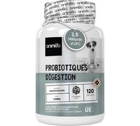 Subzonal-Probiotique Chien, 120 Gélules - 2.5 Milliards D'ufc Par Portion, Prébiotiques & Enzymes Digestives - Ferments Lactiques - Lactobacillus Rhamnosus, Immunité & Probiotique Flore Intestinale C