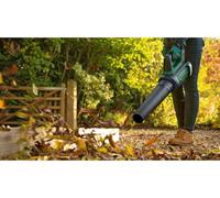 SUBZONAL-Souffleur de Feuilles sans Fil - AdvancedLeafBlower 36V-750 (livré dans Un Carton avec 1 Batterie 2,0 Ah 36 V, pour Les Feuilles tenaces Qui collent au Sol et Les Grandes Surfaces, 2,8 kg)