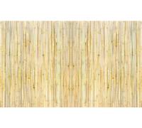 SucceBuy Clôture en bambou naturel enroulé, 4 ft H x 8 ft L x 0,75 in D, brise-vue écologique en bambou, jardin décoratif, balcon, piscine, terrasse, arrière-cour