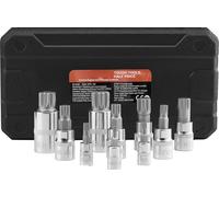 SucceBuy Jeu de 10 clés à douilles XZN à embout triple carré, M4-M18, acier Cr-V, coffret de rangement