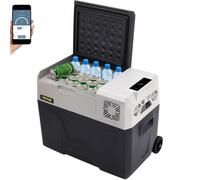 SucceBuy Mini Réfrigérateur Frigo Portable pour Voiture Frigo Voiture 30L