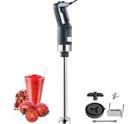 SucceBuy Mixeur plongeant commercial 750 W, mixeur manuel robuste, mixeur plongeant à vitesse variable avec lame en acier inoxydable 304 pour soupes, smoothies, purées