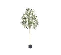 SucceBuy - olive artificielle de 4/5/6 pieds de haut, fausse plante, matériau PE sécurisé, Protection d'inclinaison Anti-basculement, arbre à faible entretien pour la maison 5ft Type2