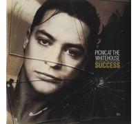Success/I Wanna Be [Import]