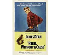 SUCCESS STORY Poster LA FUREUR DE VIVRE, JAMES DEAN, Affiche film, Vintage, Déco murale (60X80) HQ (sans cadre)