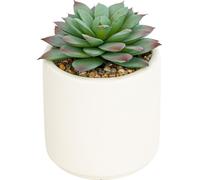 Succulent artificiel en pot NILS, 12 cm
