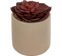 Succulente artificielle dans un pot NILS, 12 cm