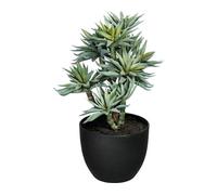 Succulente sur tige 30 cm Plante artificielle en vert et gris dans pot plastique 14x11 cm