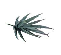 Plante artificielle - RAYHER - Aloe - Plastique doux - 5 x 10 cm - Décoration intérieure