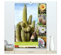 Succulents and Cacti - Strong Thorns, Delicate Blooms (High Quality Premium Wall Calendar 2026 DIN A2 portrait),CALVENDO 12 Month Wall Calendar: A look at the beauty of thorny sun worshippers