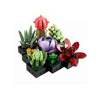 Succulents Artificial Plants Set for Adults, Home Decor, Birthday, Creative Housewarming Gifts, Botanical Collection, Flower Bouquet Kit Zekai