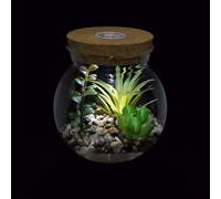 Succulet Artificiel Plats I Marimo Terrarium Pots avec LED Blanc Lumière Liège Desig Miiature Faux Plats Faux Cactus Potté Bosai Idoor Décor De Bureau pour, Clear 2, 10.5cm*11.9cm(D*H)