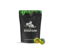 Sucette Énergie au Chanvre Le Petit Botaniste - Saveur Taurine Caféine Sans THC