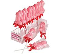 Sucette forme Zizi Succulent Willies