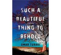 Such a Beautiful Thing to Behold by Umar Turaki Umar Turaki (Auteur)