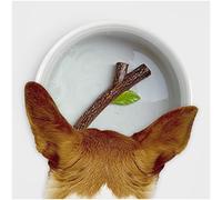 Suck UK Gamelle en céramique pour chien | Gamelle d'eau pour chien avec bâton 3D | Fournitures d'alimentation et d'arrosage pour chiens | Gamelles pour chiens adultes et chiots | Accessoires fantaisie