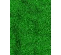 Sucre Coloré Vert Usage Professionnel - Décoration Gâteaux et Barbe à Papa - Pack de 10kg