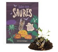 Sucré ou aigre « La pilule acide » - Article de farce d'Halloween et souvenir pour enfants - Pilule à graines avec graines de mauvaises herbes dans un étui végétalien - Blagueuse d'Halloween amusante