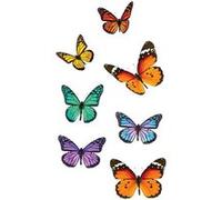 SUD TRADING Adhésifs de vitres papillons - 2 panneaux de 40 x 30 cm Multicolore G