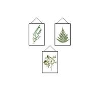 SUD TRADING Autocollant Mural cadres Herbiers - 49.5 x 47.5 cm