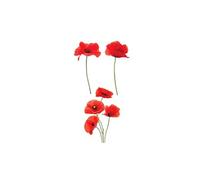 SUD TRADING Autocollant pour vitres Coquelicots - Dimensions de la planche : 30 x 40 cm