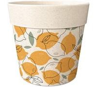 SUD TRADING Cache Pot de Fleurs en Bambou Motif citrons - Dimensions : Hauteur 8.5 cm - Diamètre 9.5 cm G
