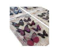 SUD TRADING Lot de 4 blisters de stickers papillons 3D