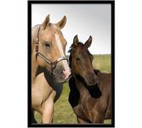 SUD TRADING Miroir à suspendre Portait Cheval - En verre et cadre en PVC - 22 x 32 cm Multicolore