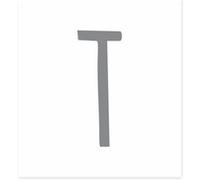 SUD TRADING Sticker de décoration murale Lettre T - en vinyle gris - Dimensions de la planche : 14.6 x 11 cm GRIS G