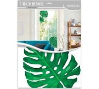 Sud Trading - Sticker de vitre Monstera - 60 x 40 cm Vert G