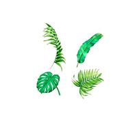Sud trading - Sticker nature Jungle - 70 x 50 cm - Blanc et vert Vert