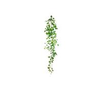 SUD TRADING Stickers Muraux - branches de Lierre - Hauteur 15 cm - Largeur 62 cm