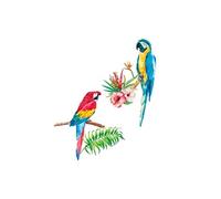 SUD TRADING Stickers Muraux Perroquets multicolore - Hauteur 73.4 cm - Largeur 61.7 cm