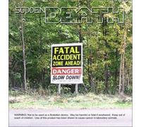 Sudden Death - Fatal Accident Zone