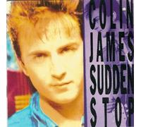 Sudden Stop