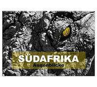 SÜDAFRIKA Augenblicke (Wandkalender 2026 DIN A2 quer), CALVENDO Monatskalender: Südafrika - Faszination Safari